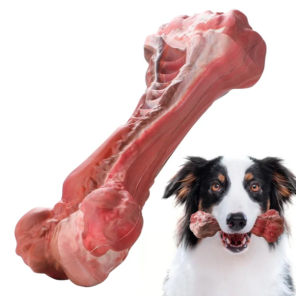 MASBRILL  Nylon Bone-Shaped Indestructible Interactive Dog Toy Teeth Cleaning