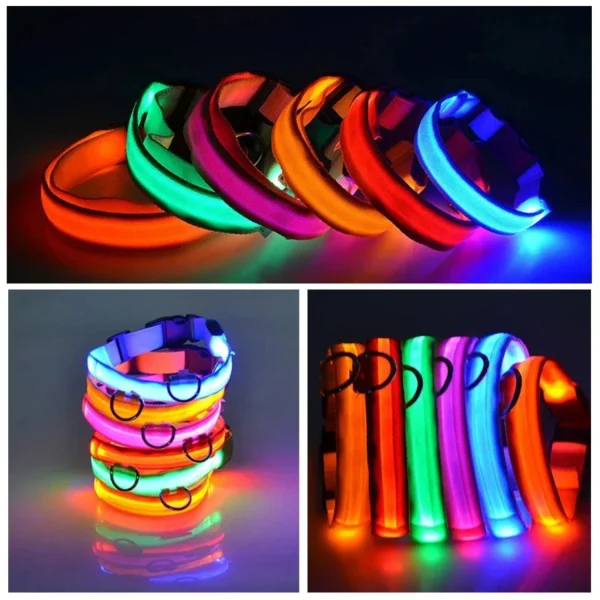 USB Charging LED Flashing Fluorescent Safety Dog Collar.
